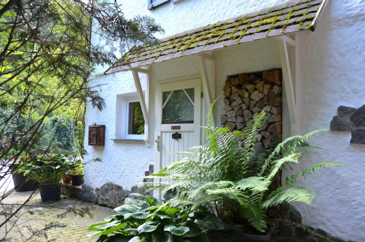 Birgits Landhaus Willingen Willingen  Exterior photo