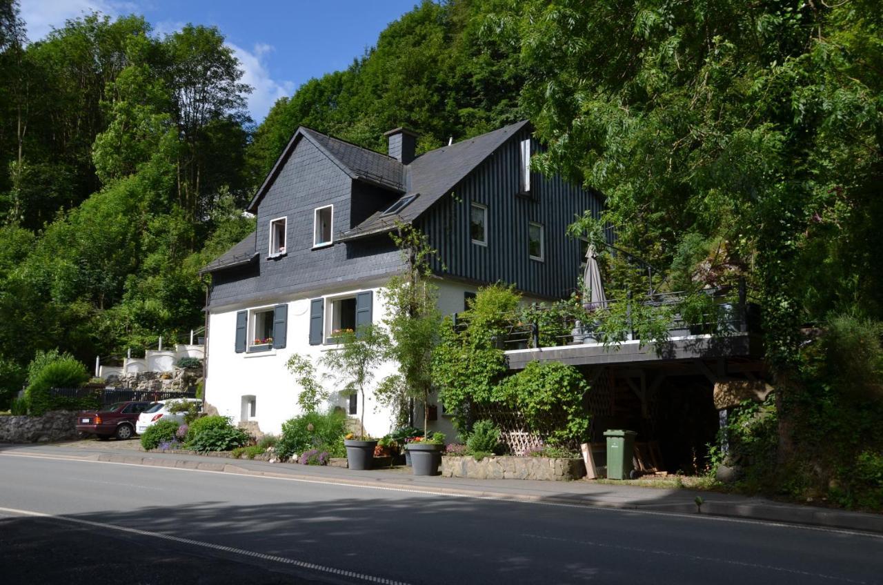 Birgits Landhaus Willingen Willingen  Exterior photo